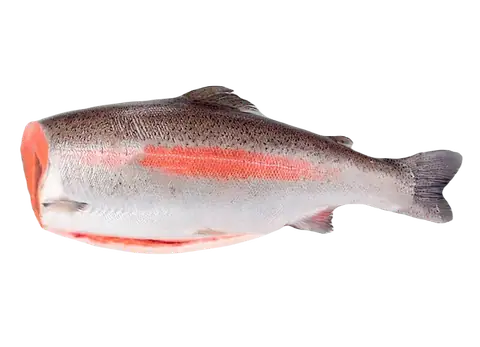 Форель с/м б/г 2,7 - 3,6 кг