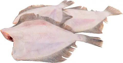 Камбала с/м