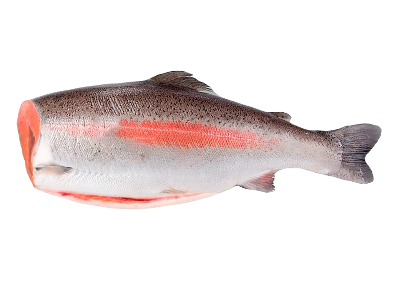 Форель с/м б/г 2,7 - 3,6 кг